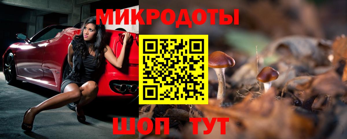 Псилоцибиновые грибы Cubensis  Вход с VPN  Котлас 